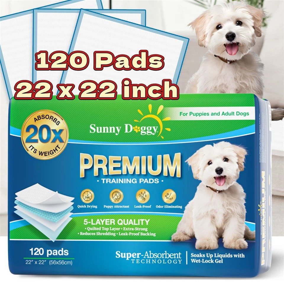 Pee Pads That Attract Dogs